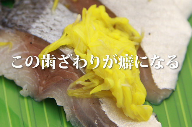 トロさんま菊本しめ