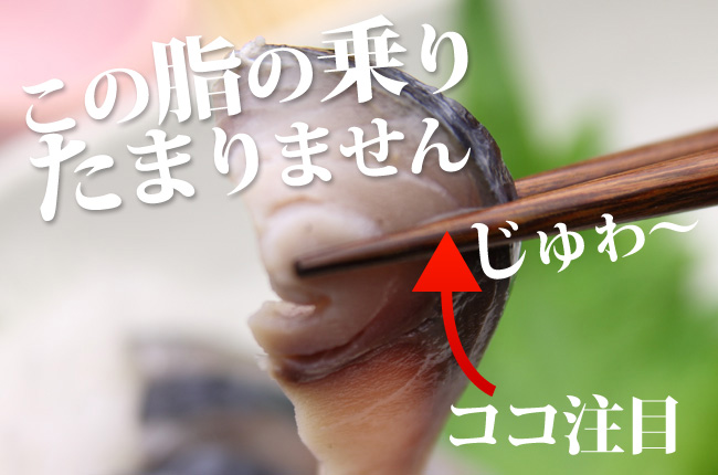 しめ鯖【八戸前沖銀さば使用】刺身感覚で食べられる｜魚の町八戸からの直送便ヤイチ